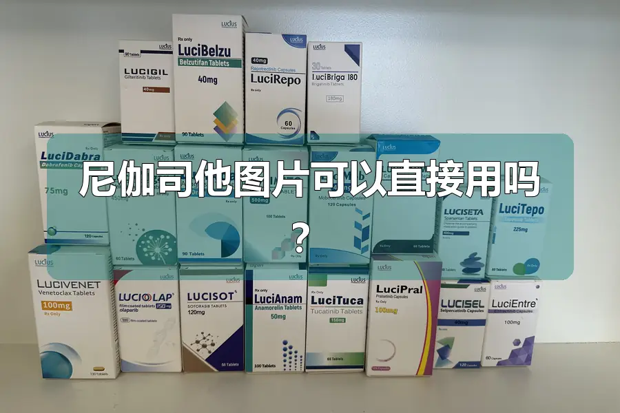 尼伽司他图片可以直接用吗?